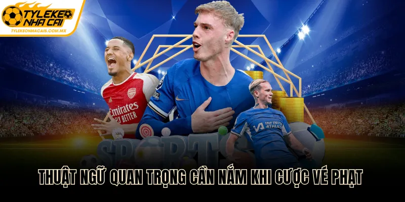 Thuật ngữ quan trọng cần nắm khi cược vé phạt 